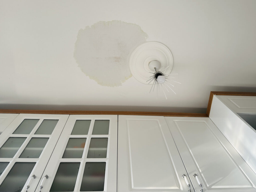 New or expanding ceiling stains