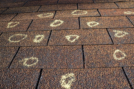 Hail impact marks circled in chalk across an asphalt shingle roof