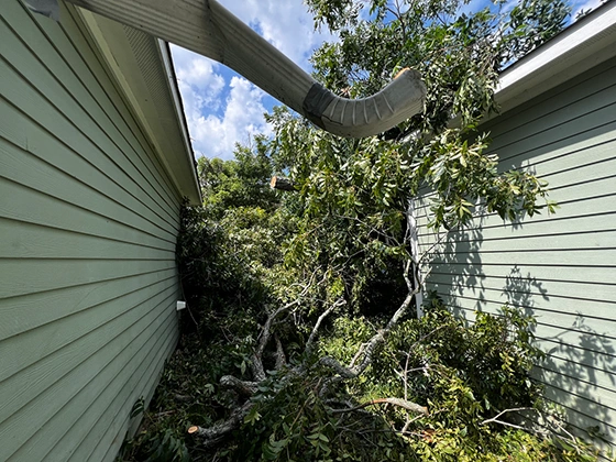 Fallen tree branches resting against a home's siding and roofline