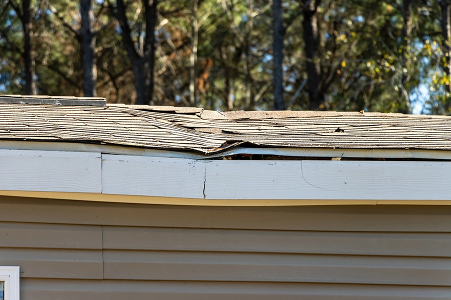 Roof decking and shingles peeled up along the eave after severe winds