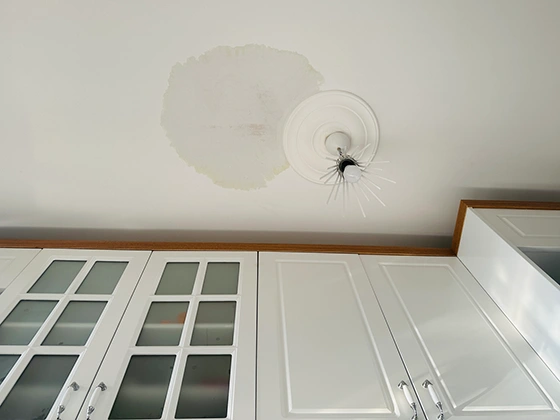 Water stain spreading across an interior ceiling from a roof leak