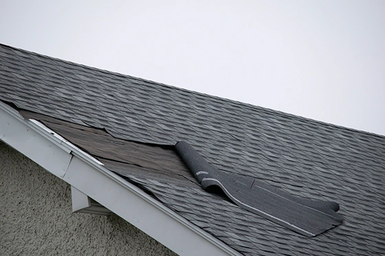 Shingles lifted along a roof edge beside the gutter after high winds